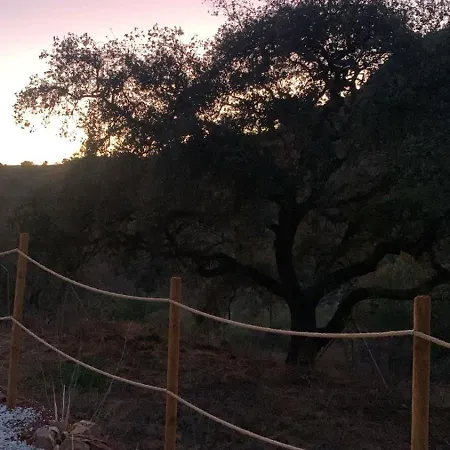 Glamping Burbuja Almendros Luksusowy namiot